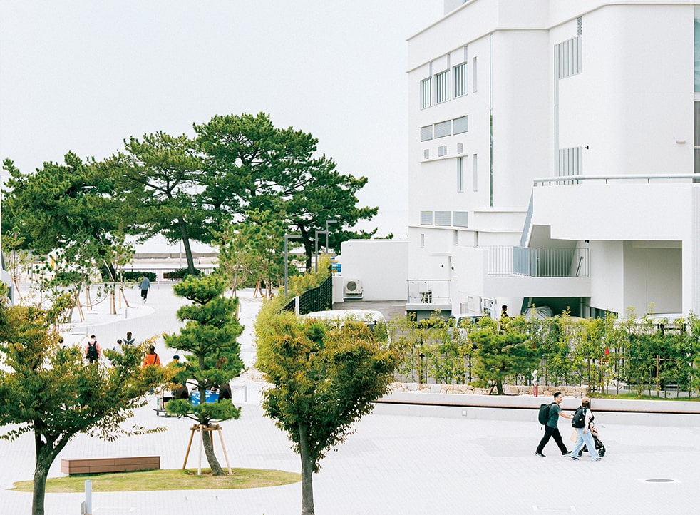 リニューアルオープン後の園地の様子