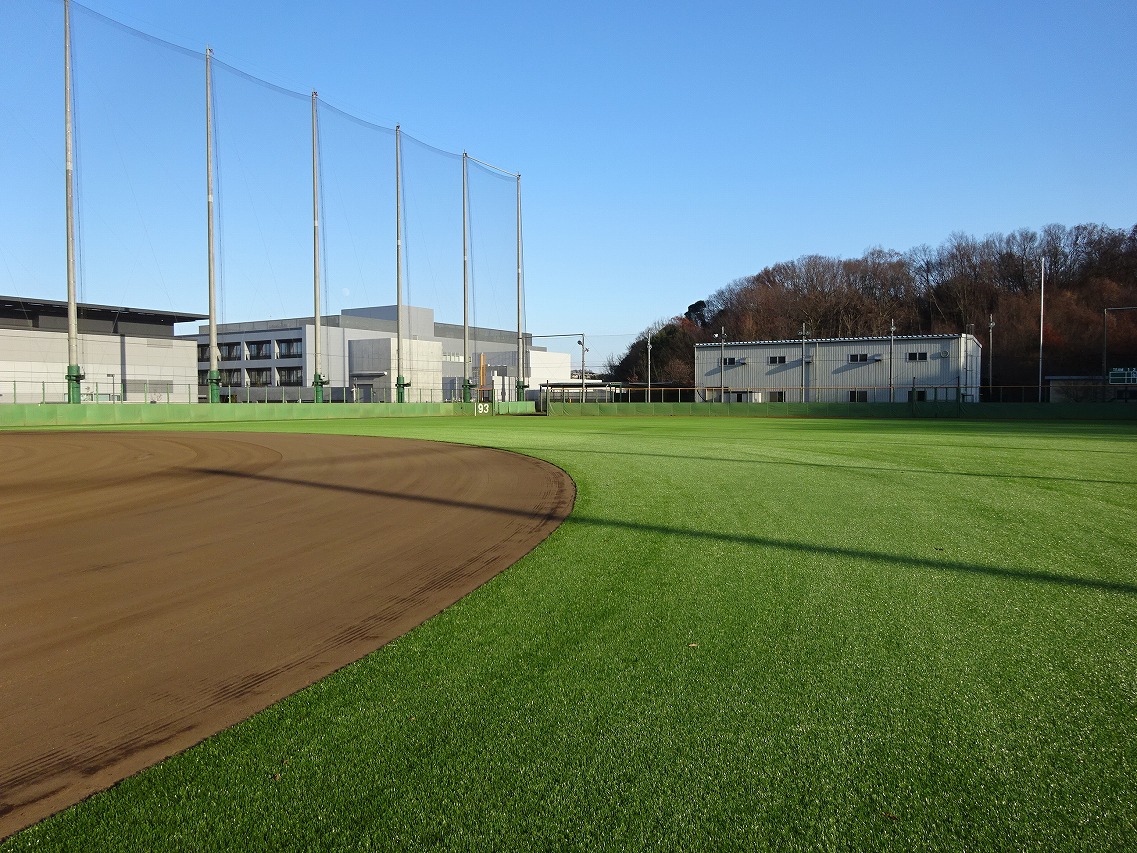 早稲田実業　甲子園出場記念ボール 平成27年 第97回全国高校野球選手権大会 出場記念ボール（早稲田